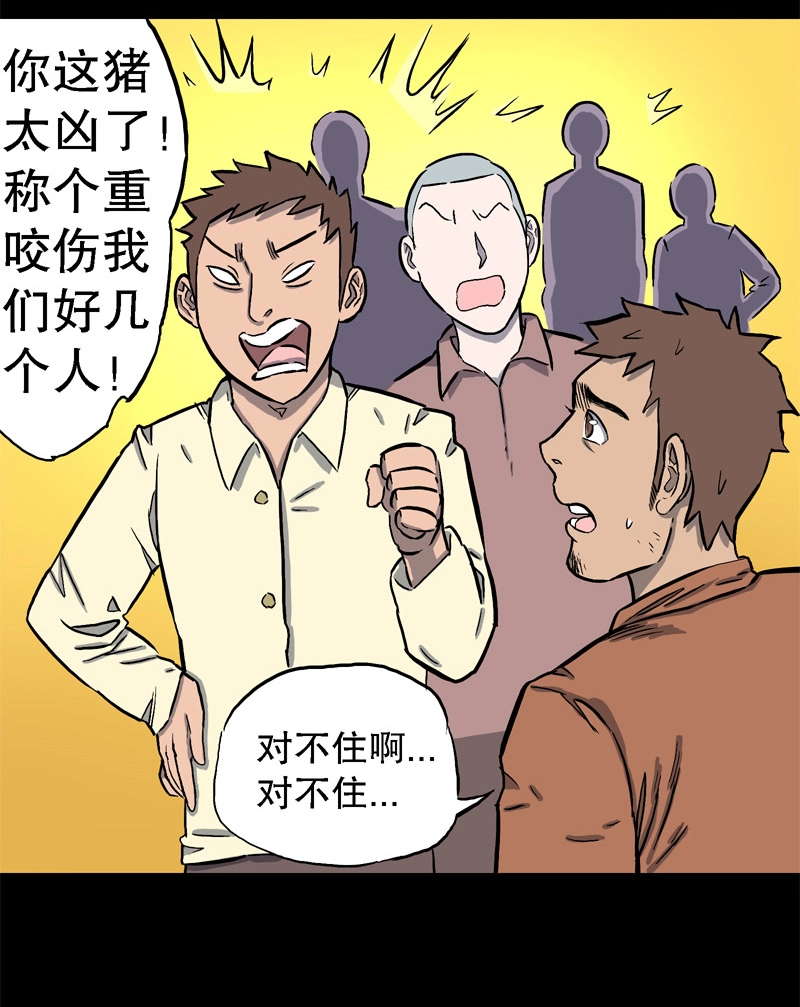 骗仔儿（下）9