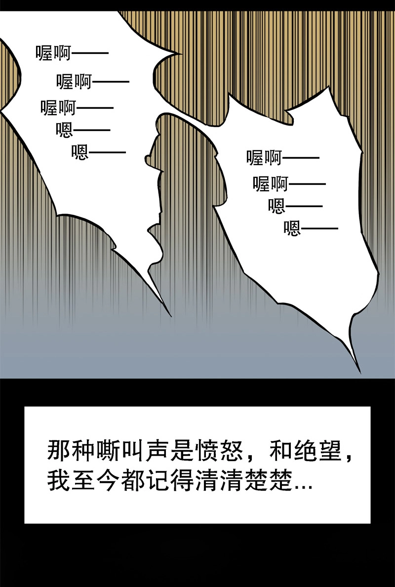 骗仔儿（下）2