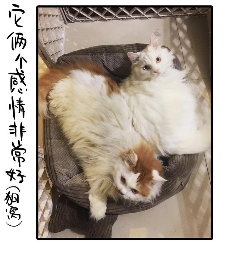 番外 作者日记（二）6