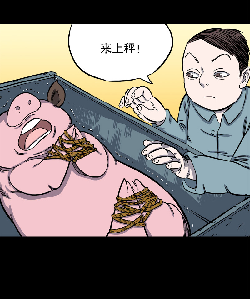 骗仔儿（下）5