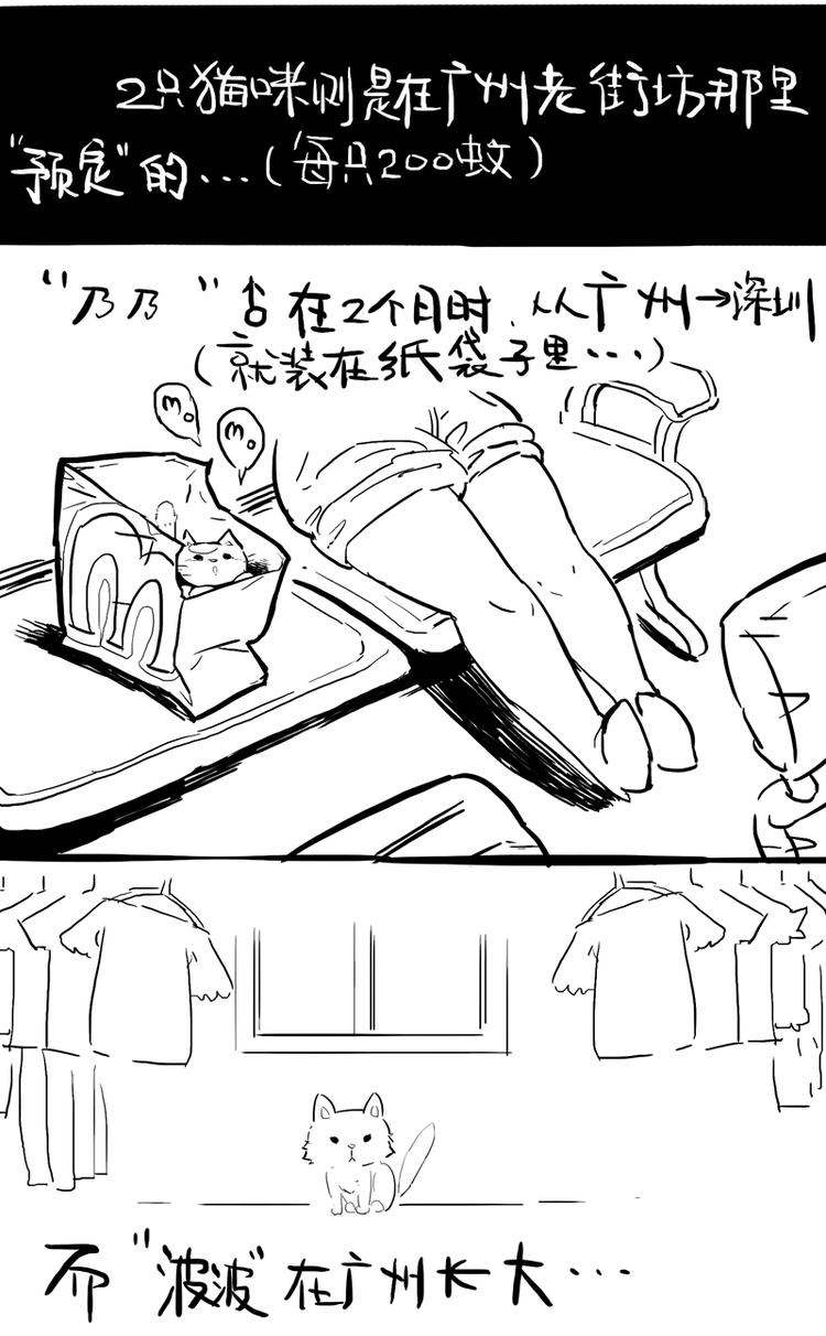 番外 作者日记（二）2