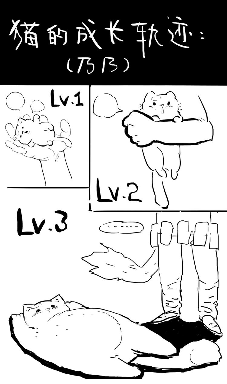 番外 作者日记（二）3