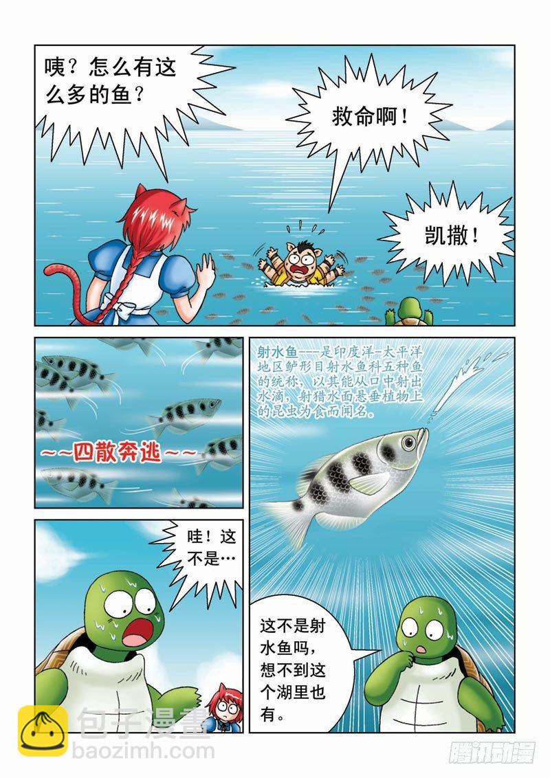 07金猪银猪2