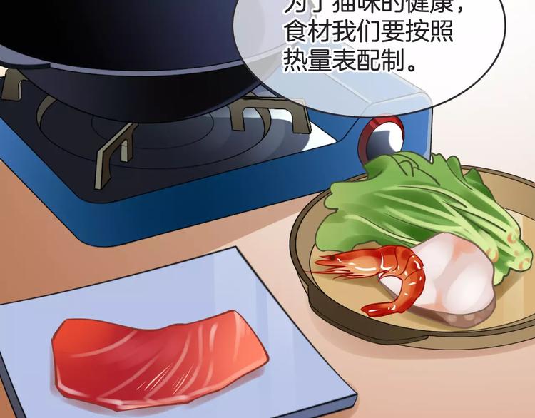 菲斯娜Feisna【猫说鱼】2