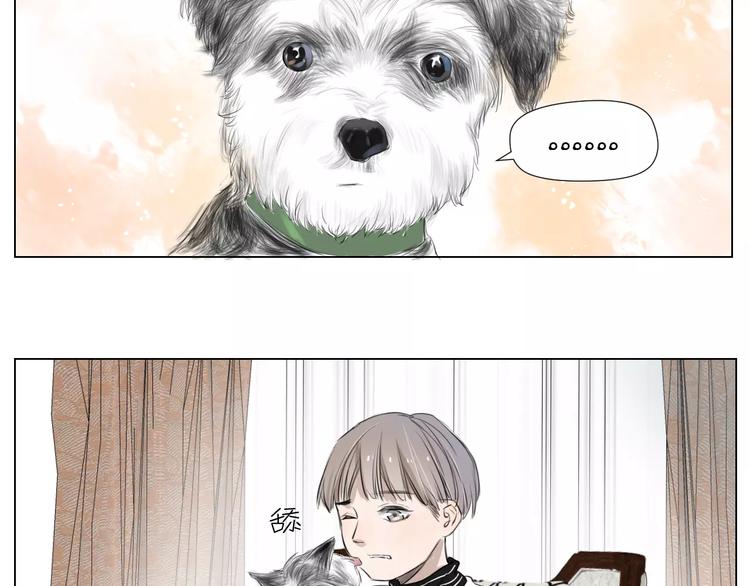 闵敢【奇奇】11