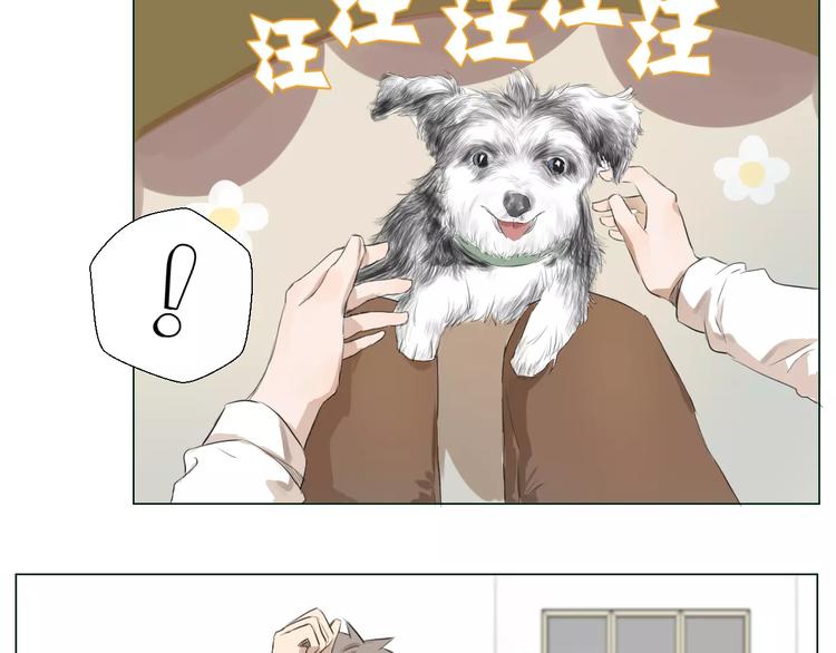 闵敢【奇奇】34
