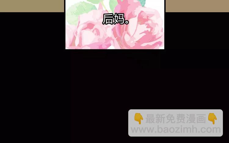 歌茗【有赠品汪】57