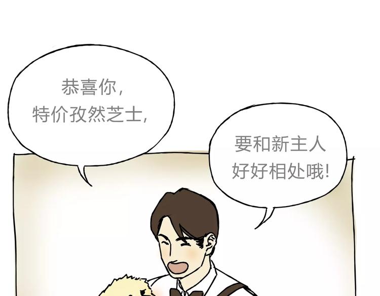 歌茗【有赠品汪】27