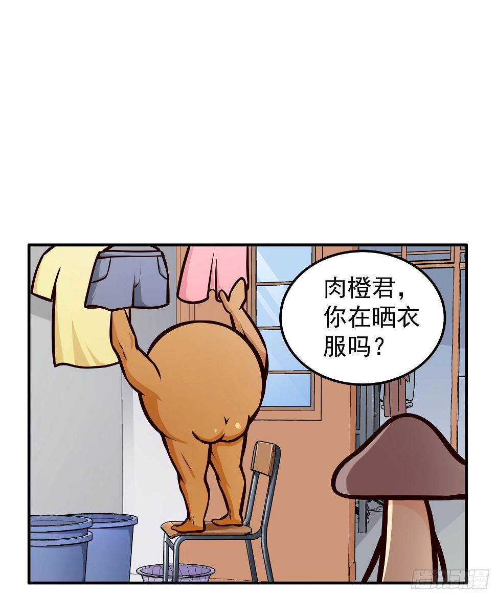 衣架1