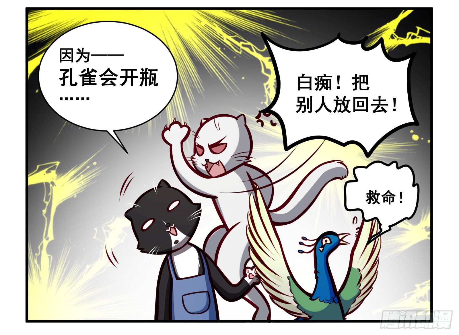 孔雀会开屏4