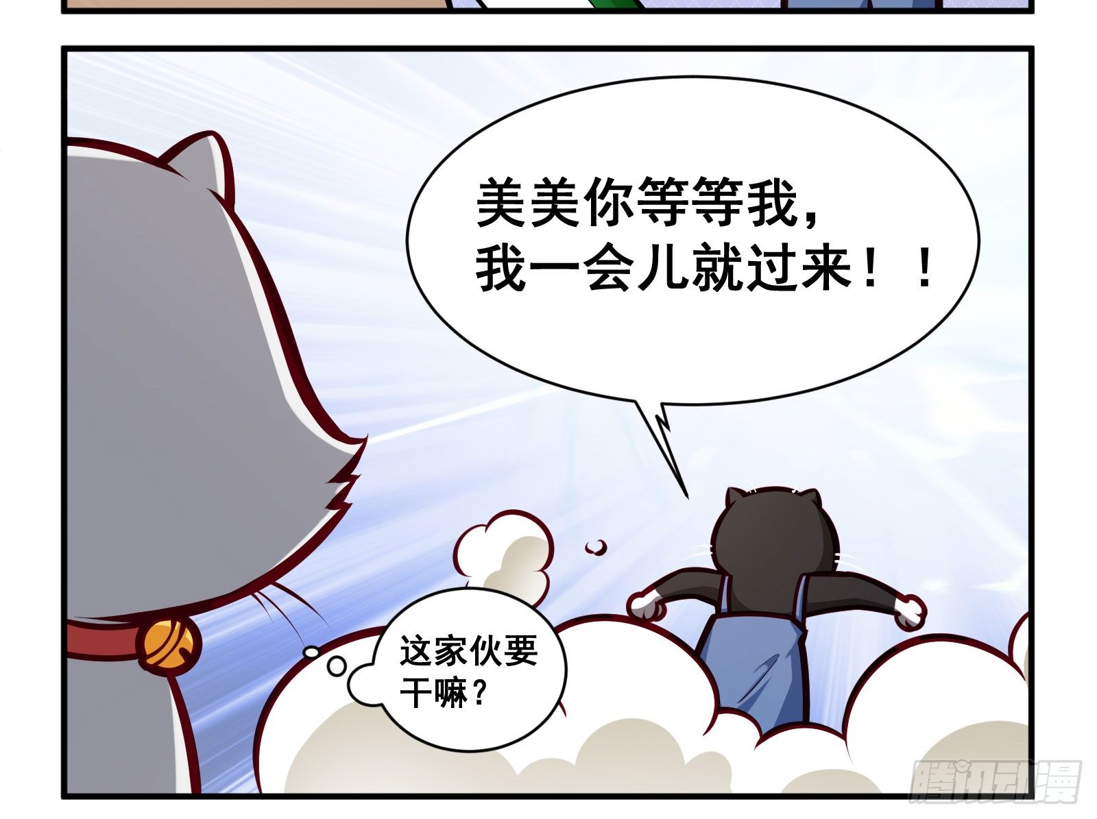 孔雀会开屏2