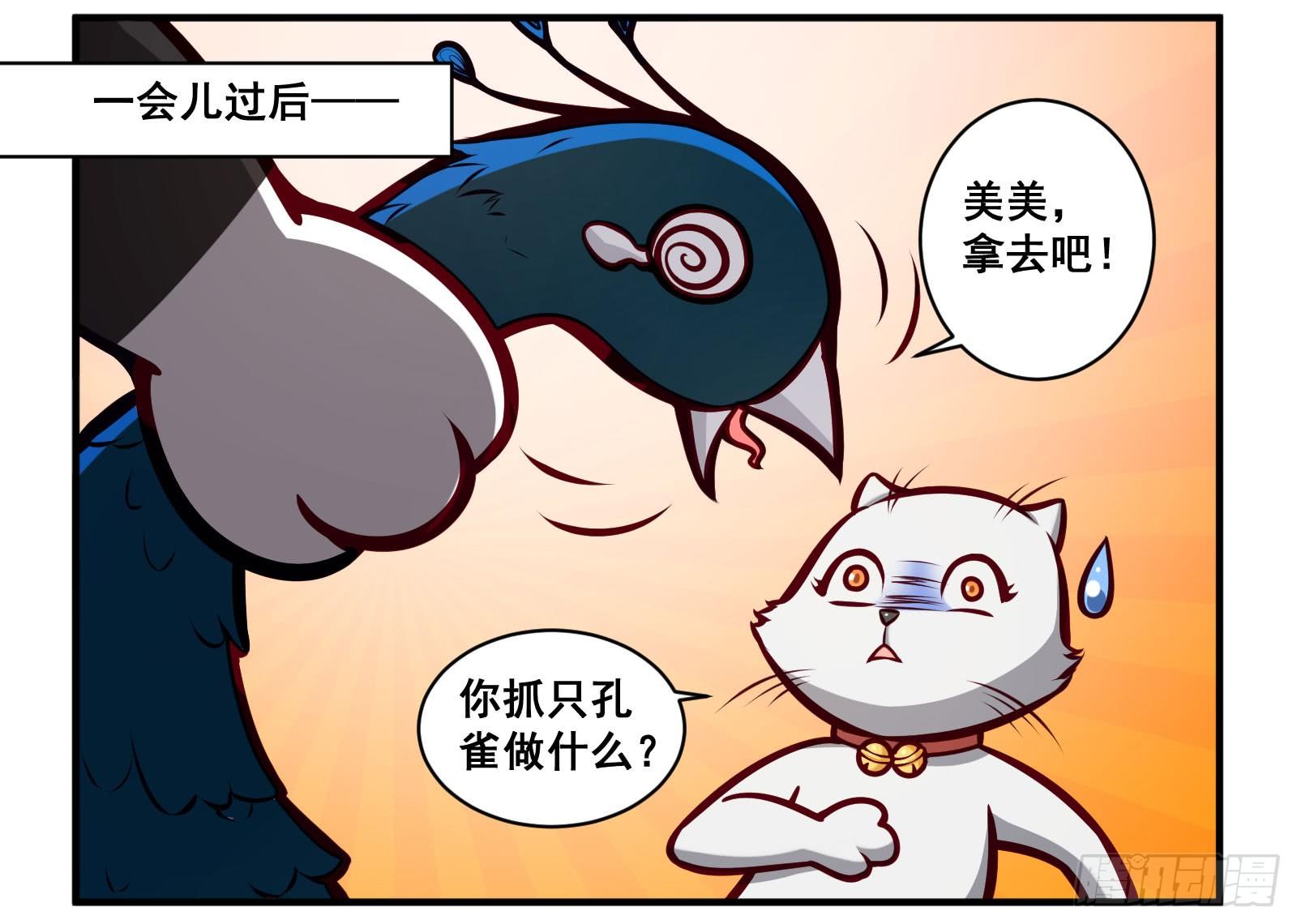 孔雀会开屏3
