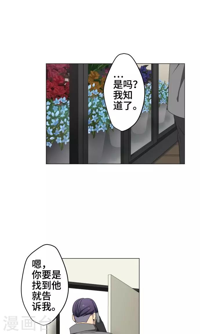 第23话 岩玫瑰的花语12
