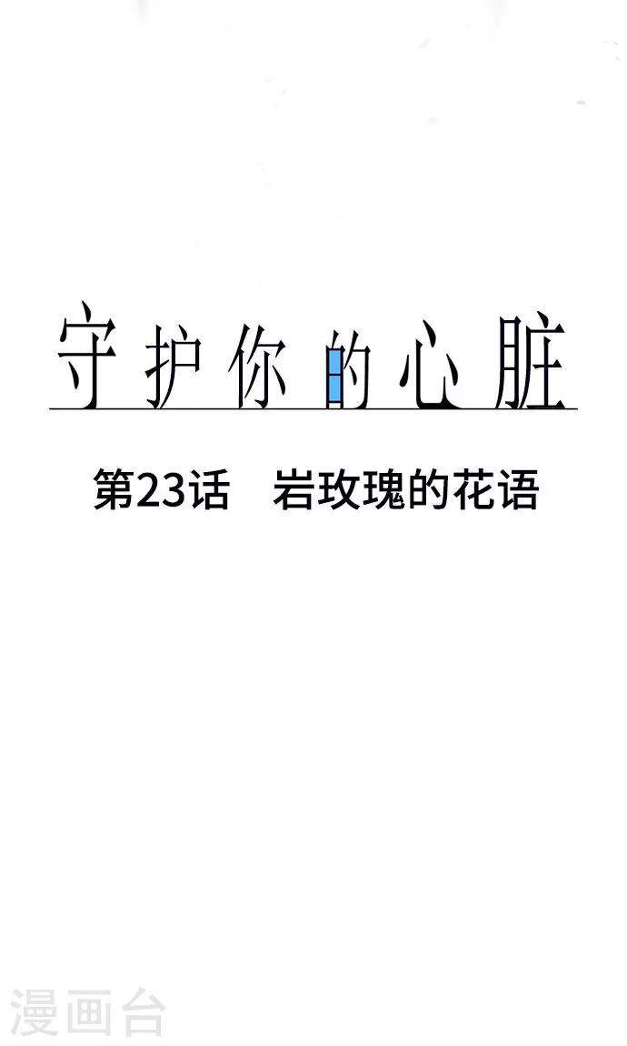 第23话 岩玫瑰的花语10