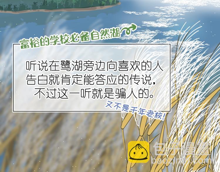 07、在树荫之下24