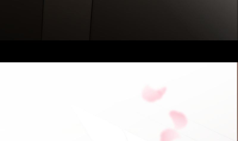 第十九话 决定49