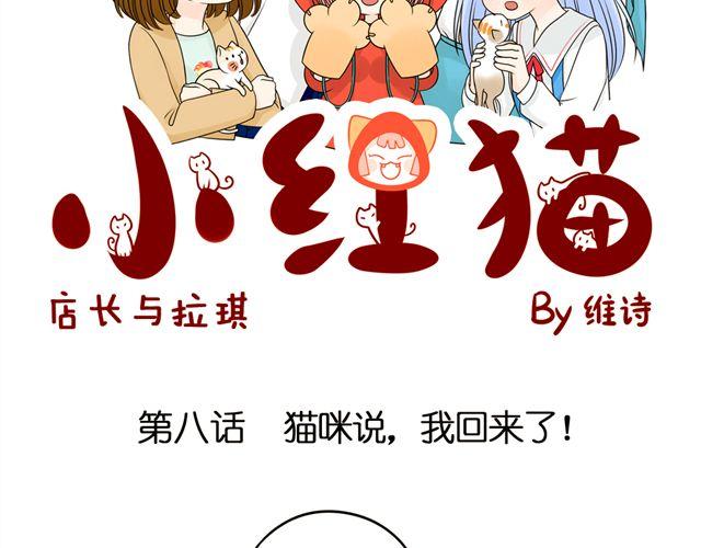 第8话 猫咪说，我回来了！2