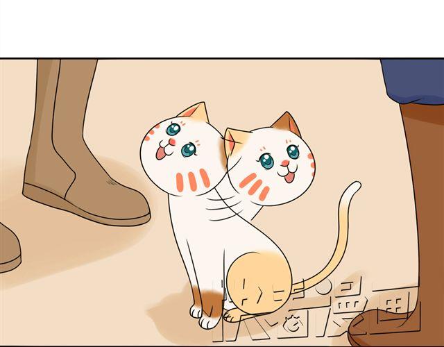 第20话 谢谢你，拉琪！24