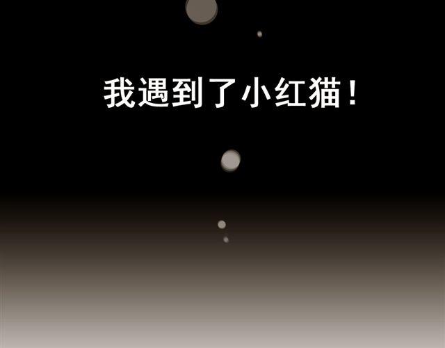第21话 我遇到了小红猫！40