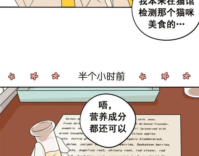 第21话 我遇到了小红猫！18