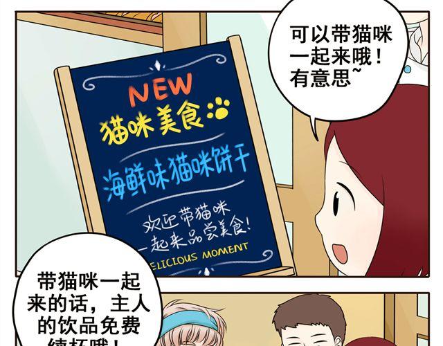 第5话 我只是想拎一下猫的脖子8