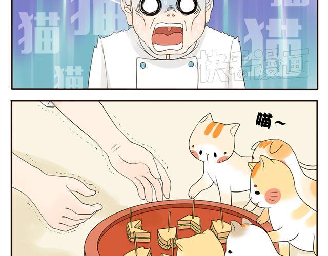 第3话 小红猫与阿夹8