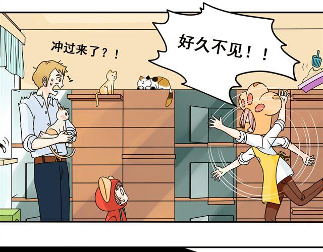 第13话. 指引方向的猫16