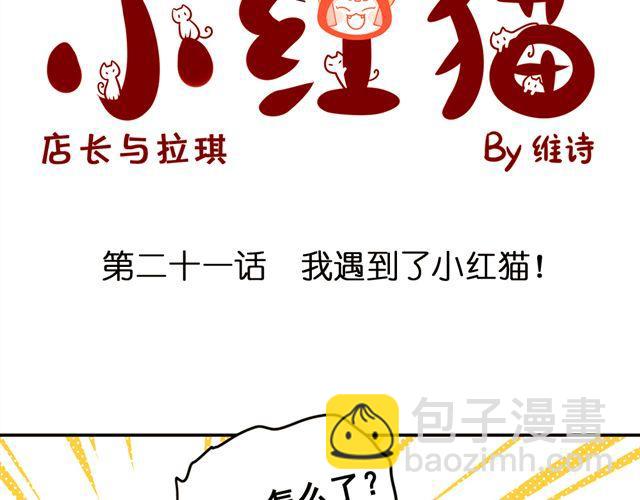 第21话 我遇到了小红猫！1