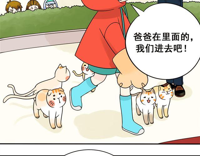 第13话. 指引方向的猫7