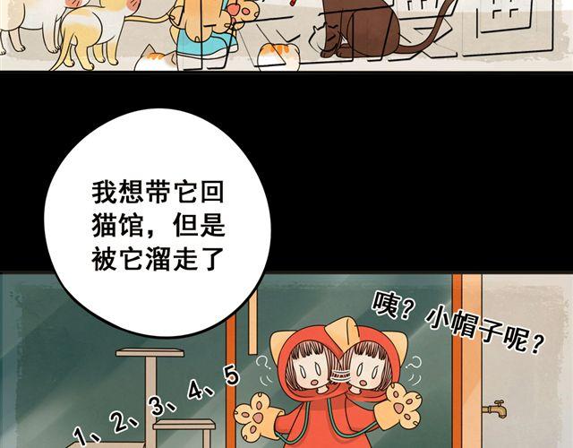 第22话 店长的招财猫29