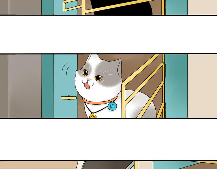 第28+29话 她有危险了！2
