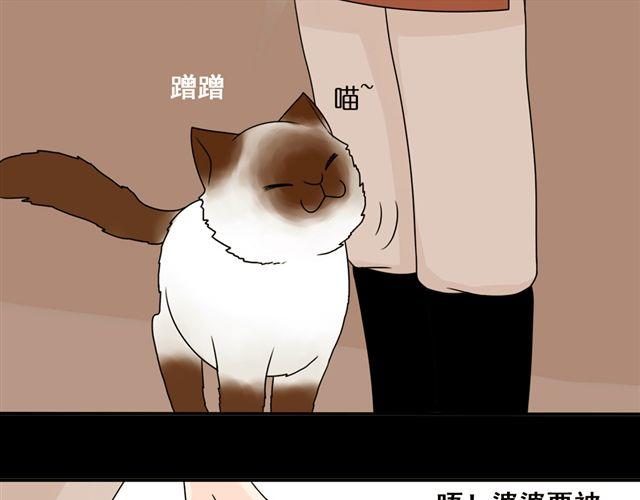第13话. 指引方向的猫31