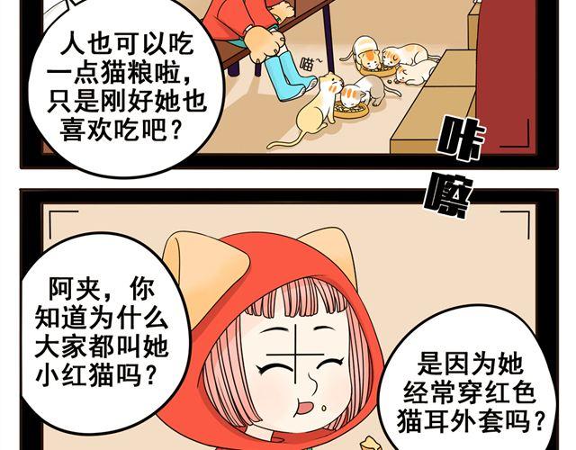 第5话 我只是想拎一下猫的脖子19