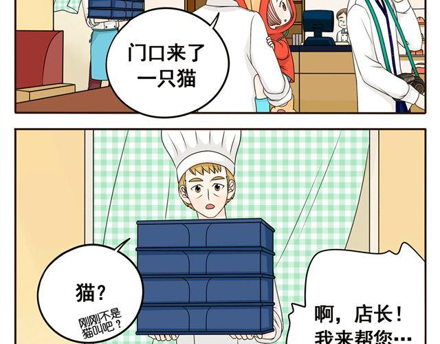 第8话 猫咪说，我回来了！8