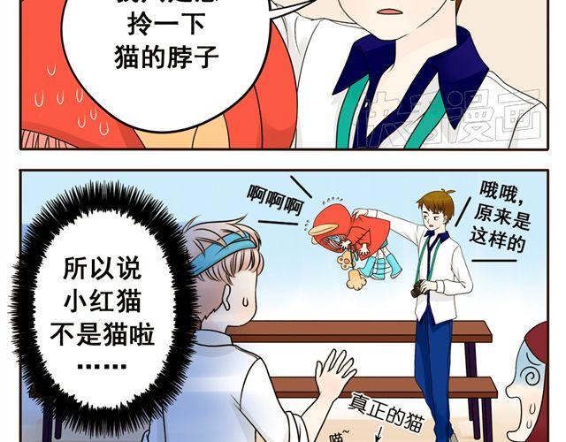 第5话 我只是想拎一下猫的脖子28