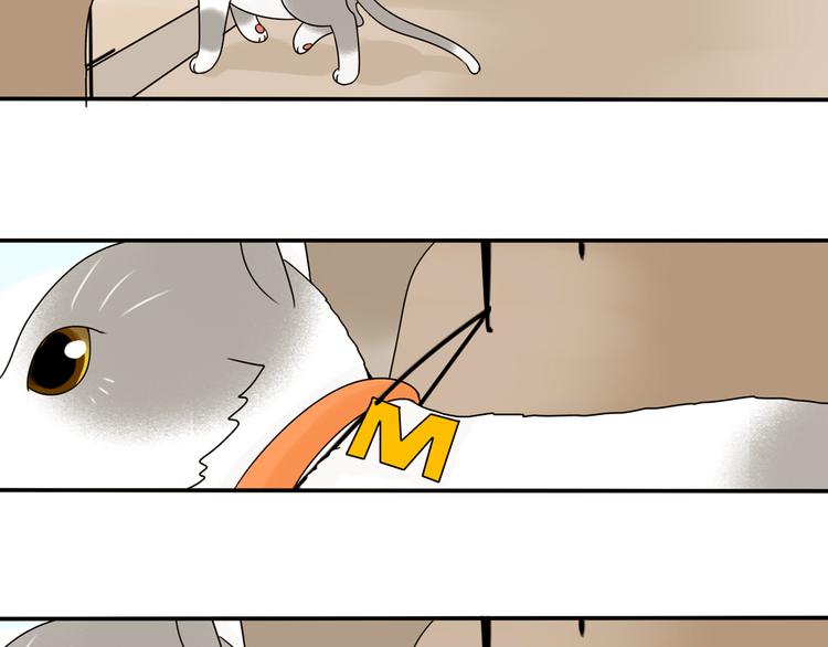 第28+29话 她有危险了！36