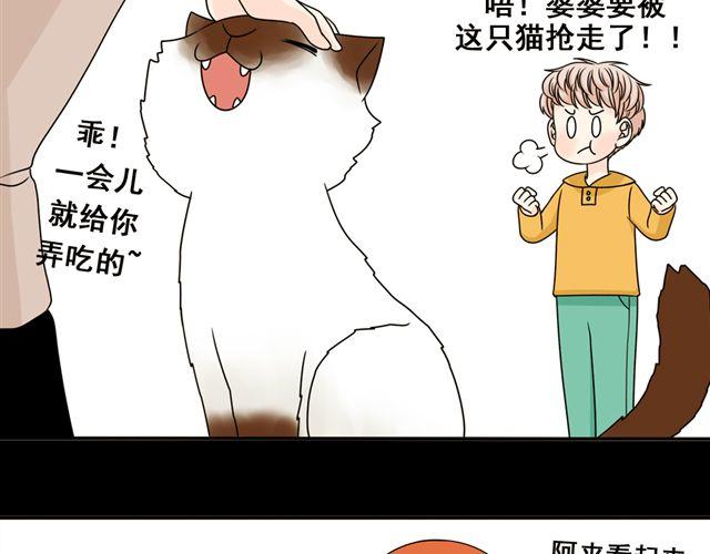 第13话. 指引方向的猫32