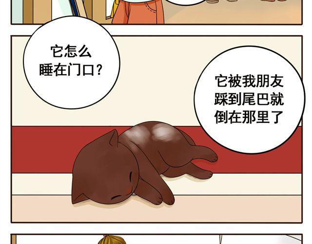 第8话 猫咪说，我回来了！19