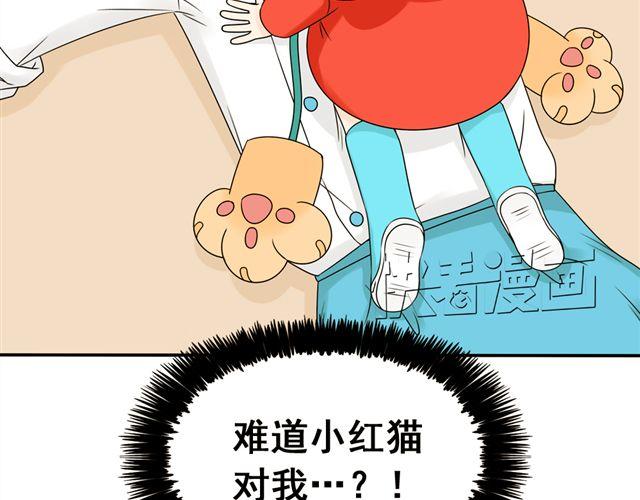 第21话 我遇到了小红猫！8