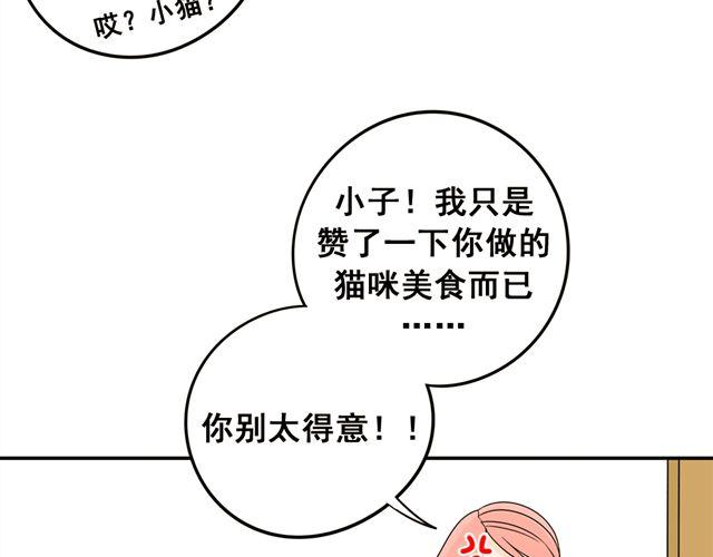 第21话 我遇到了小红猫！13
