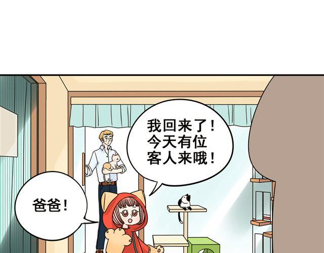 第13话. 指引方向的猫13