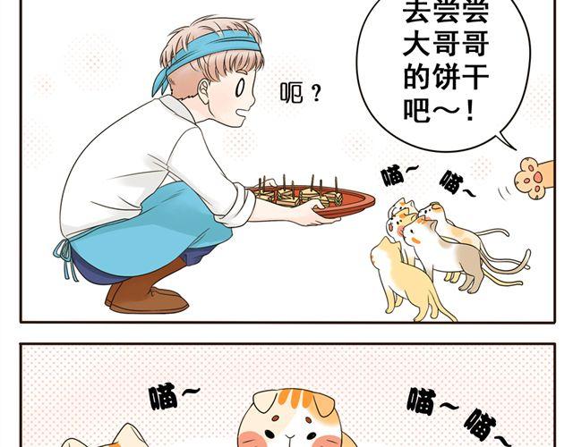 第3话 小红猫与阿夹6