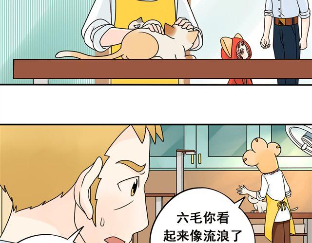 第13话. 指引方向的猫24
