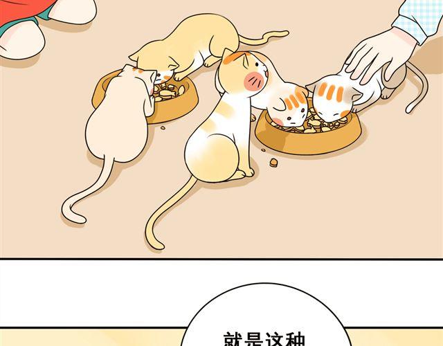 第16话 小红猫是人不是猫！3