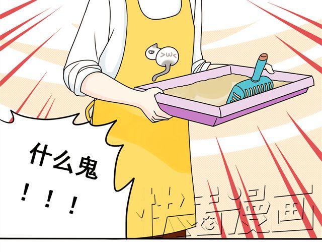 第13话. 指引方向的猫15