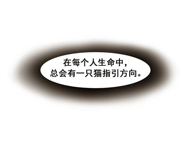 第13话. 指引方向的猫41
