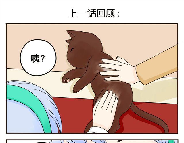 第8话 猫咪说，我回来了！0
