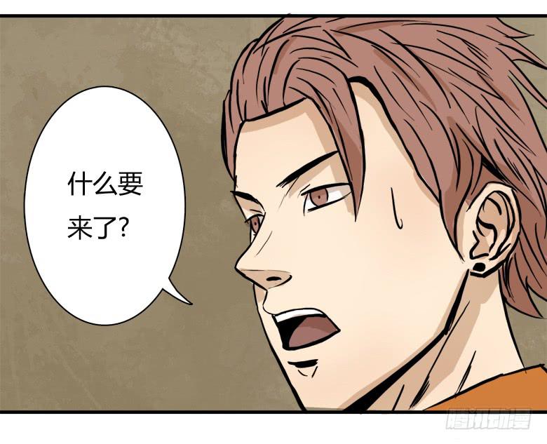 老大的实力28