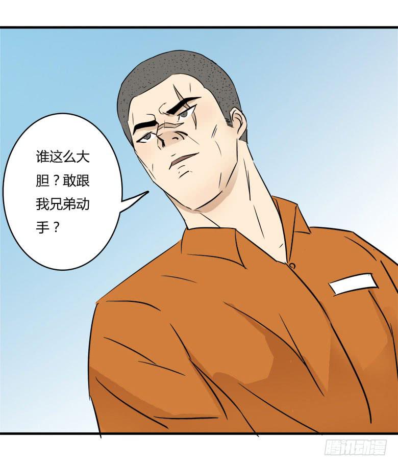 赵天日回来了51