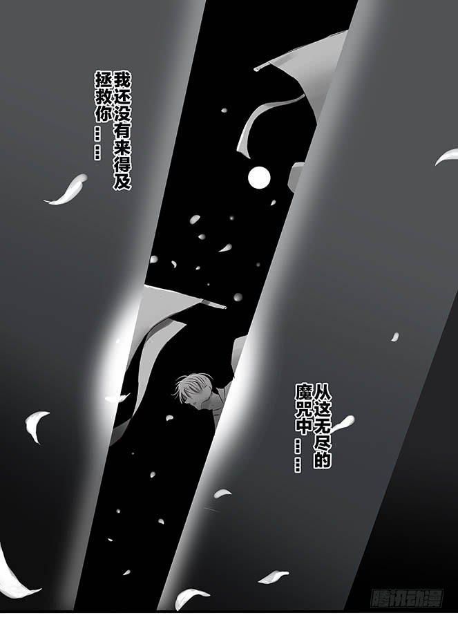 白鞋#1112